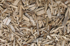 biomass boilers Tregonetha