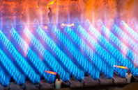 Tregonetha gas fired boilers